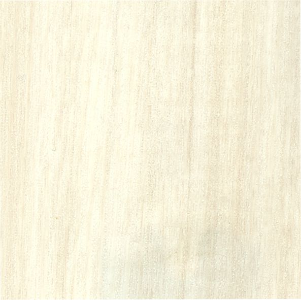 Beige sandalwood